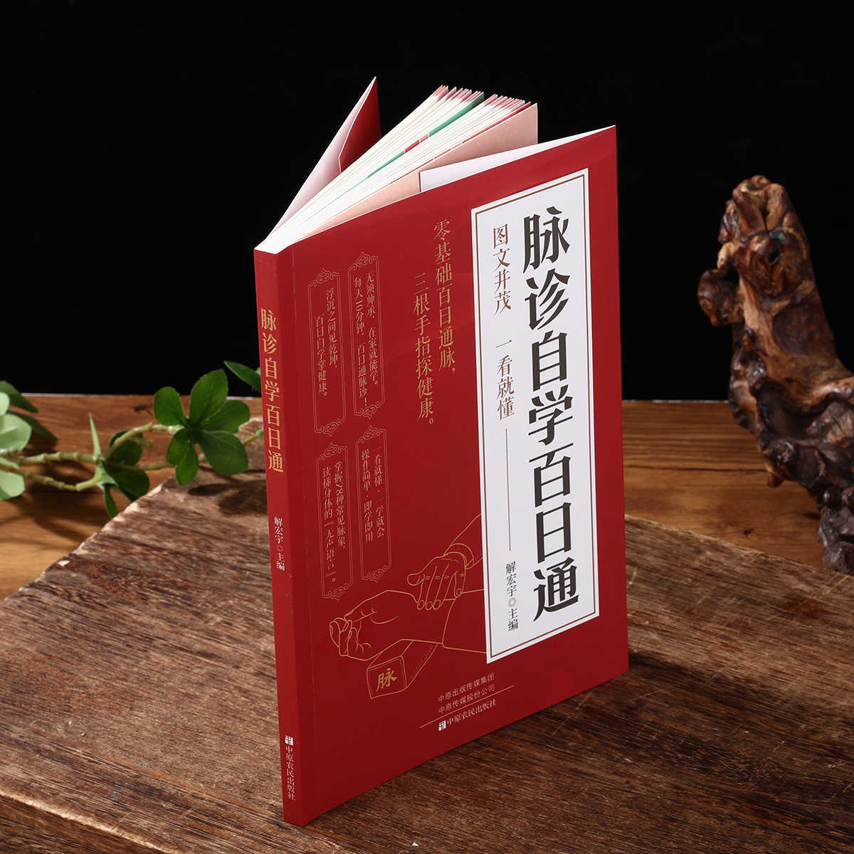 Pulse Diagnosis Self Study Hun - Health & Wellness Kuala Lumpur Reviews recension och pris